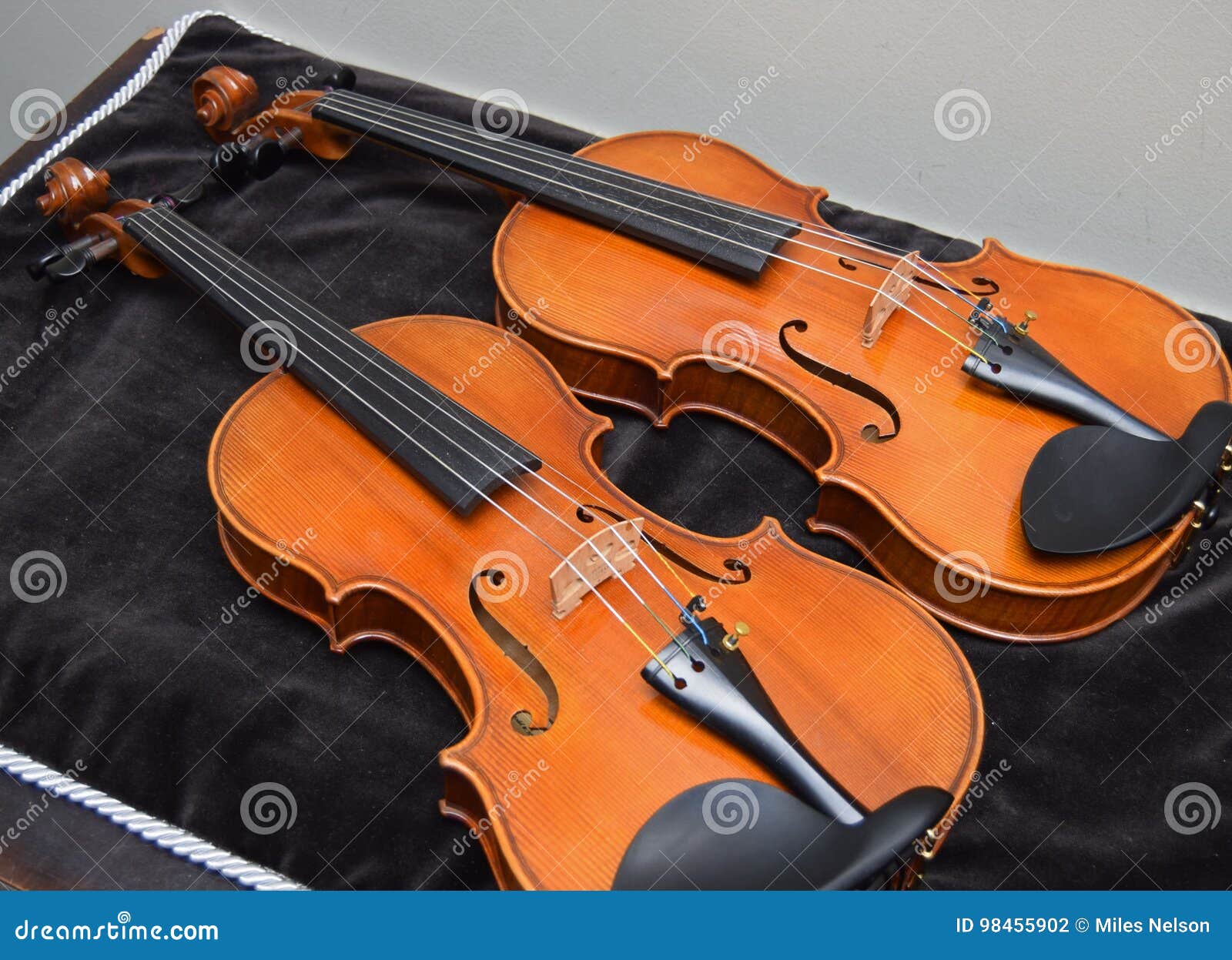 Pair of violins stock photo. Image of raleigh, trip, cellos 98455902