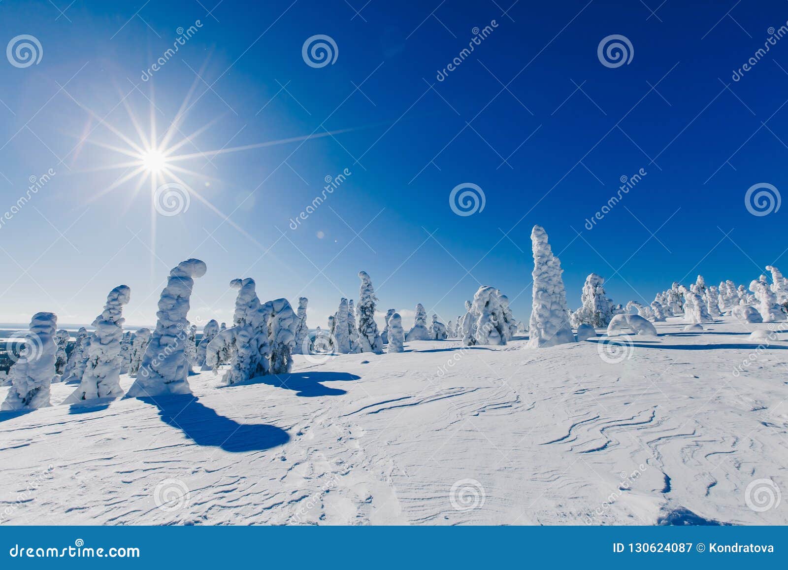 Paisagem Da Floresta De Inverno, Rio De Gelo Nevado Durante A