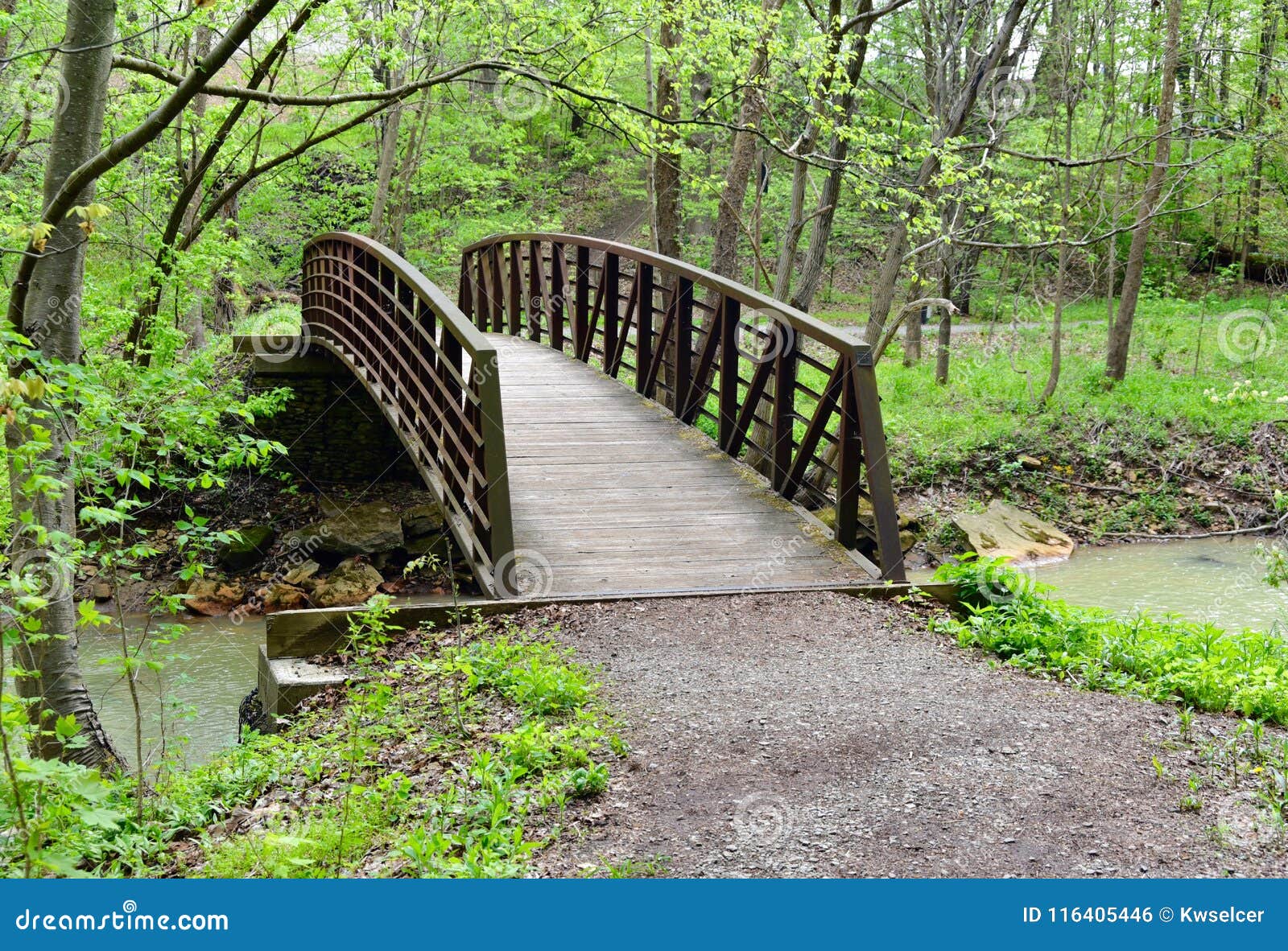 Featured image of post Paisagem De Caminho Na Floresta / Há vários séculos a paisagem da floresta negra é dominada pelas propriedades rurais.