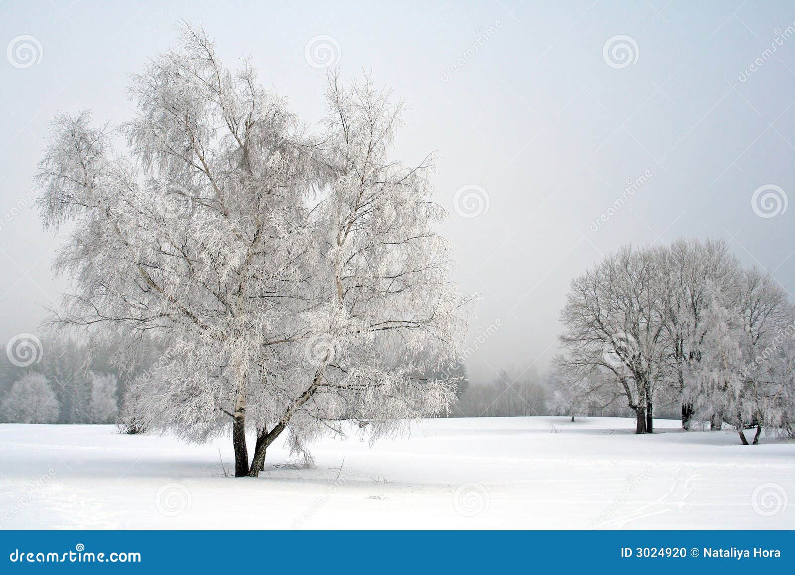 Featured image of post Imagens De Paisagens Com Neve Cursos online de qualidade com pre os acess veis