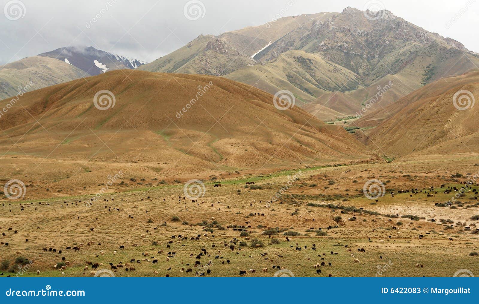 Paisagem do Quirguistão imagem de stock. Imagem de agricultura - 6422083, image size:1600x1018