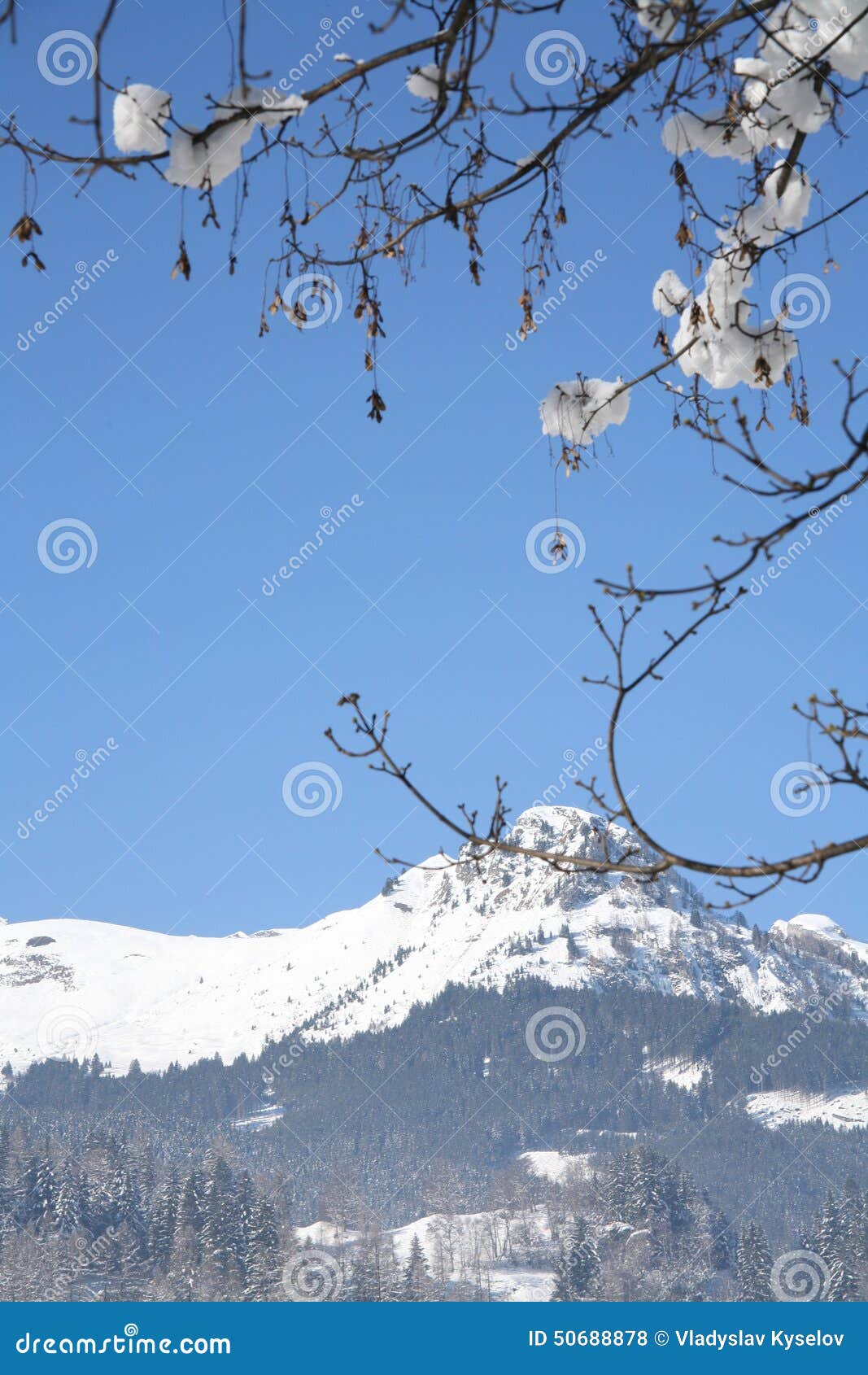 Paisagem do dia do sol do inverno. Paisagem fria da montanha do dia do sol do inverno com floresta, estrada do esqui e snowboard no fundo claro do céu azul