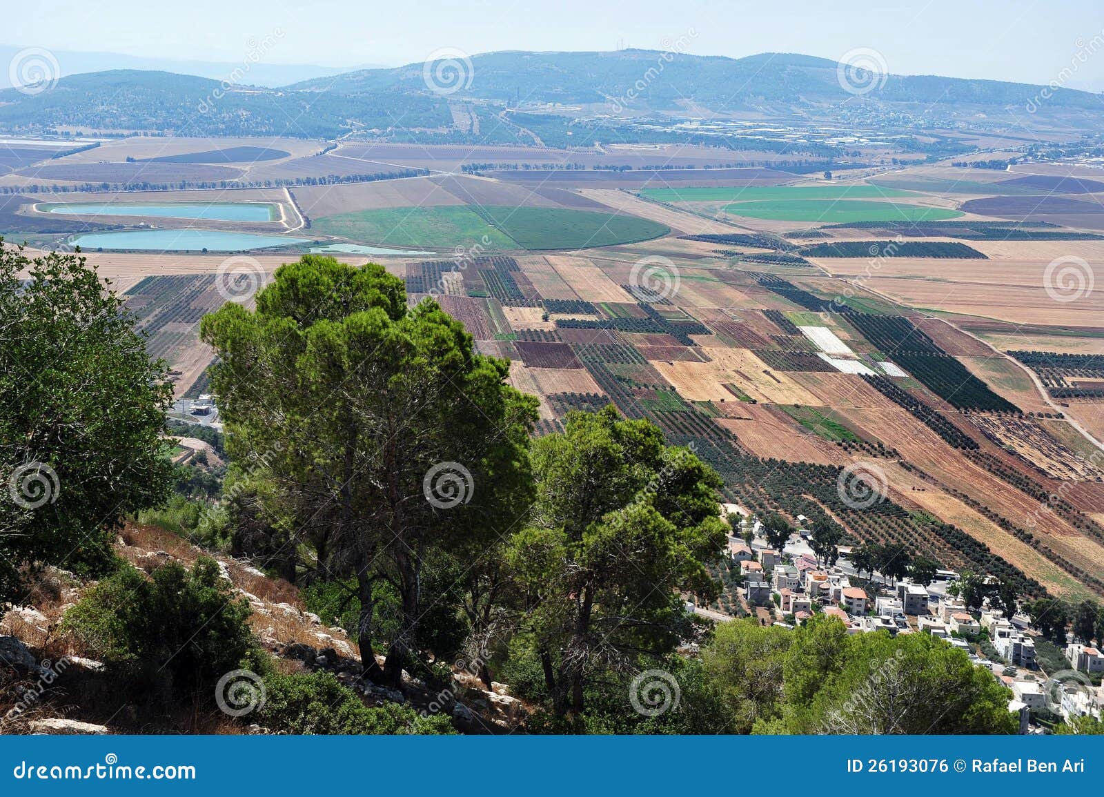 Paisagem do vale Israel de Izrael. Ideia de campos cultivados no vale de Izrael da montagem Tabor que localizou em um mais baixo Galilee, na extremidade oriental do vale de Iezreel, Israel.