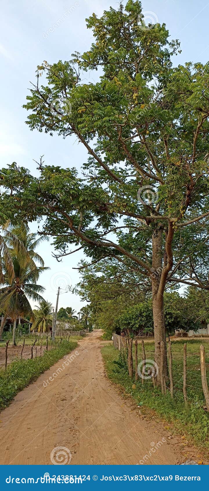 paisagem rural - maxaranguape, rn, brasil