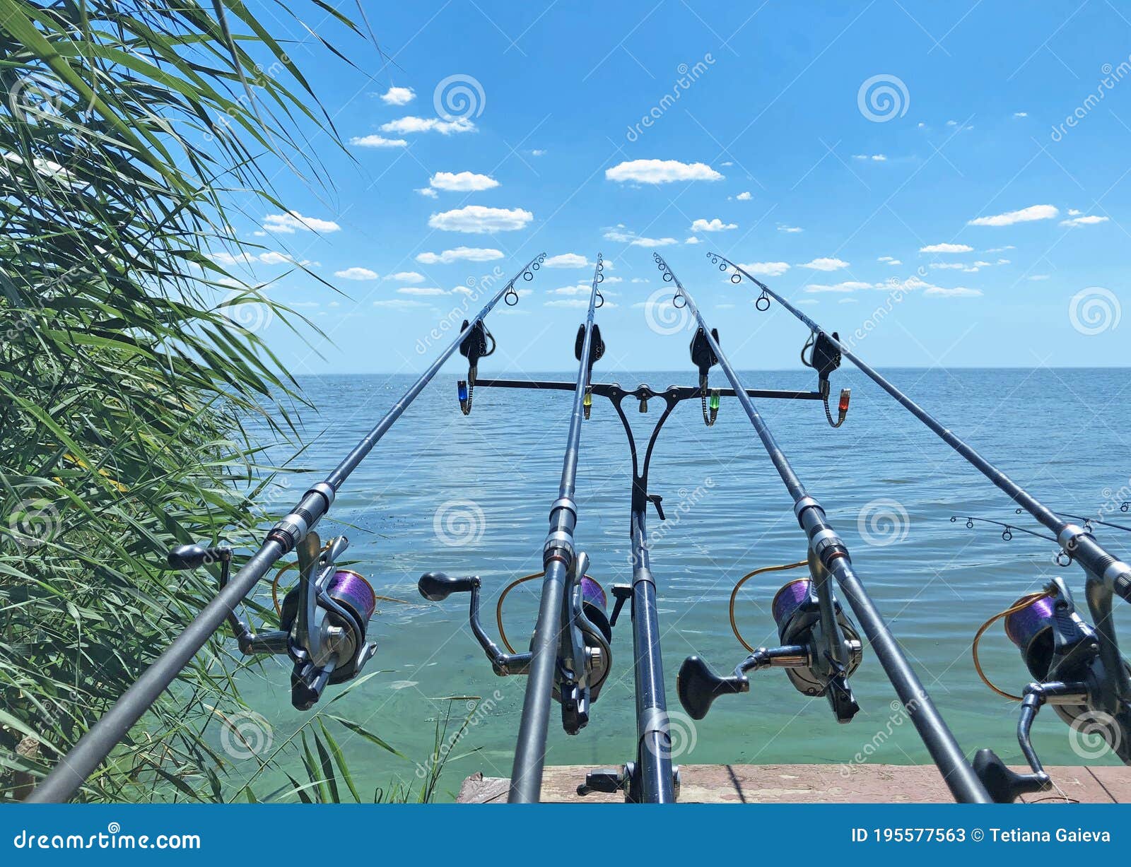 Paisaje Con Barras De Pesca Imagen de archivo - Imagen de hojas, cielo:  195577563