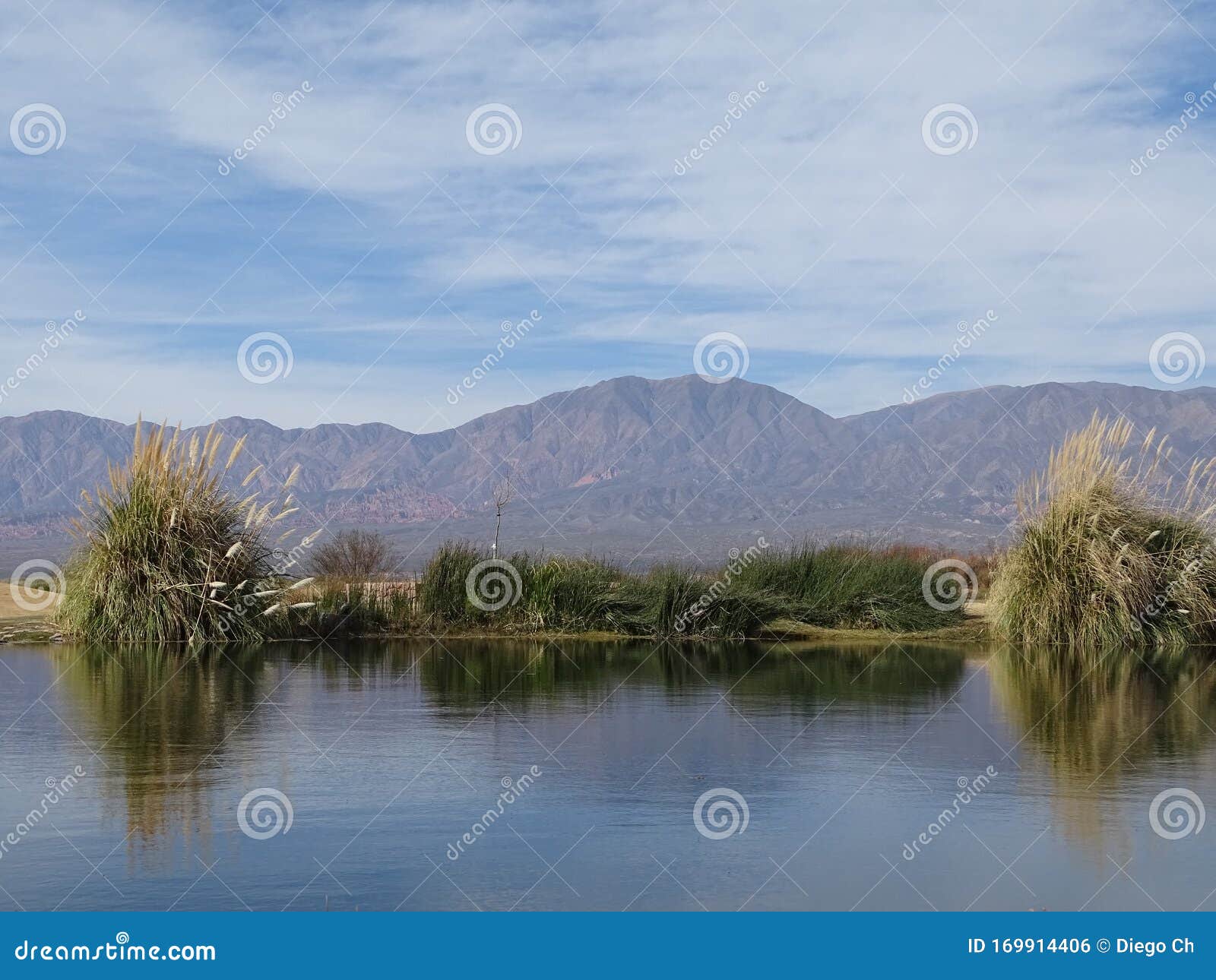 paisaje con laguna, arbustos y montaÃÂ±a