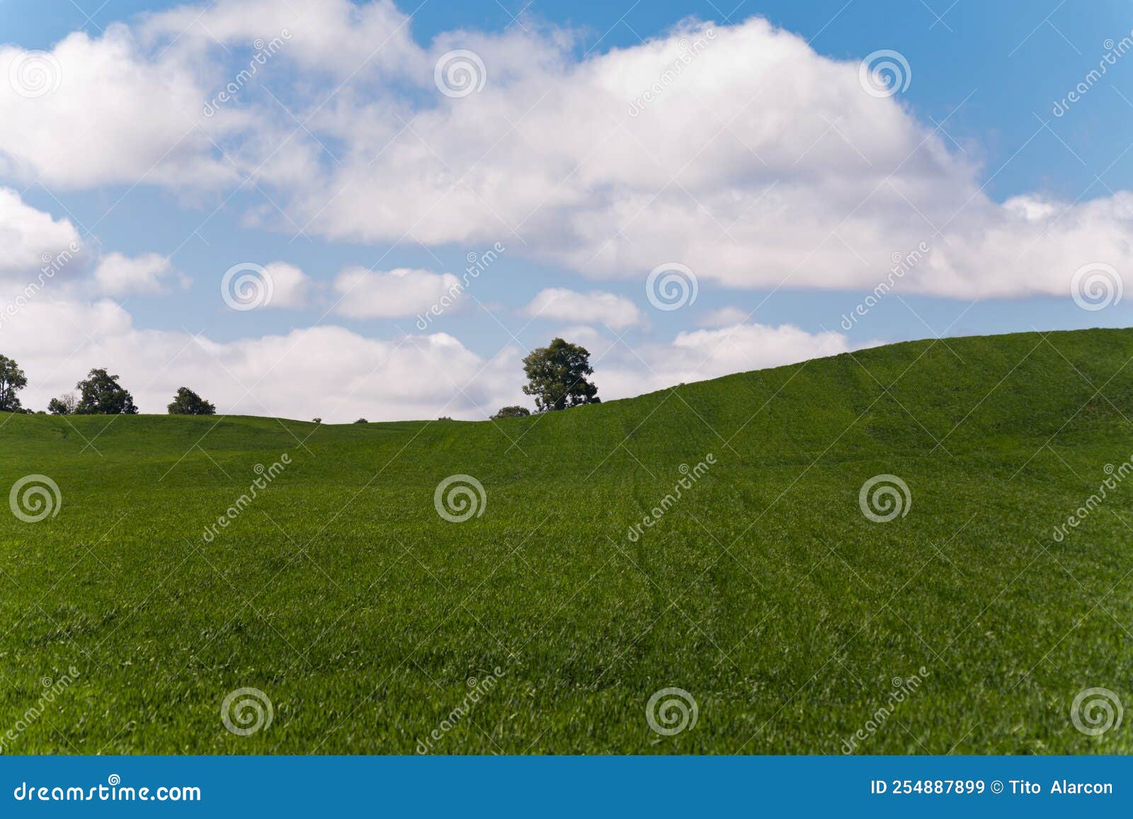 paisaje de campo verde y cielo azul