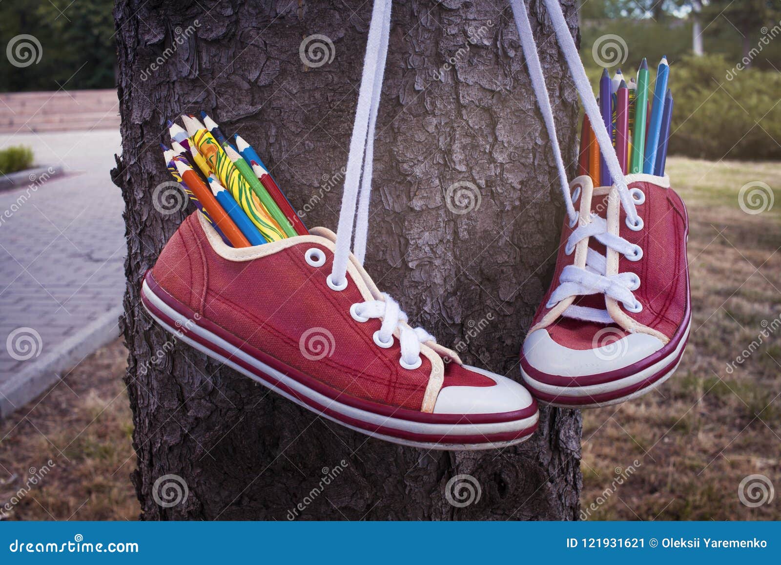 Paisaje De La Ca da Zapatillas De Deporte Retras Rojas Con Las