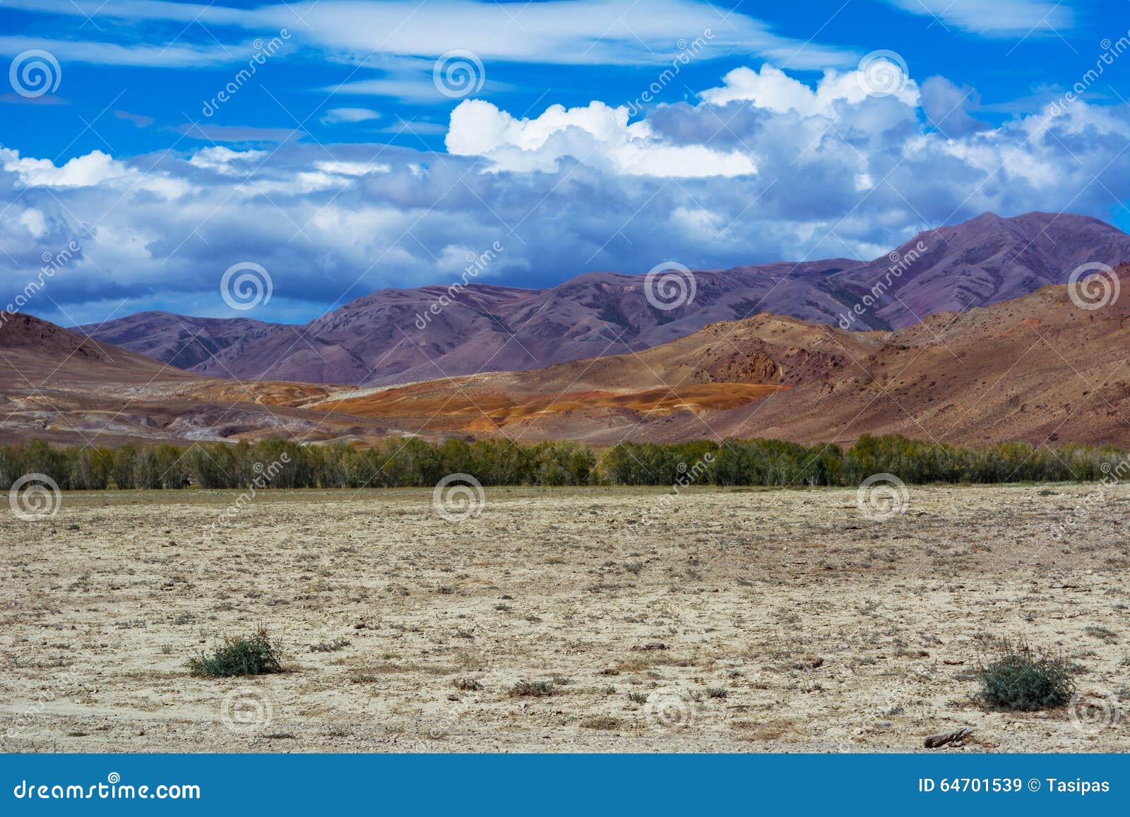 Paisaje de la estepa de Mountain View, cielo azul con las nubes Estepa en las montañas siberianas de Altai, Rusia de Kuray de la estepa de Chuya