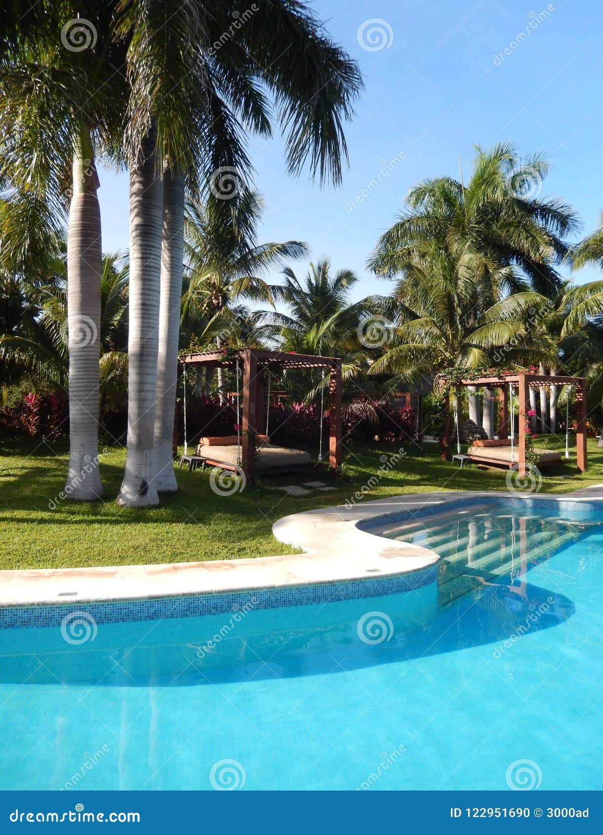 Paisaje De La Piscina En Un Centro Turístico Tropical Del Caribe Foto de  archivo - Imagen de palma, marina: 122951690