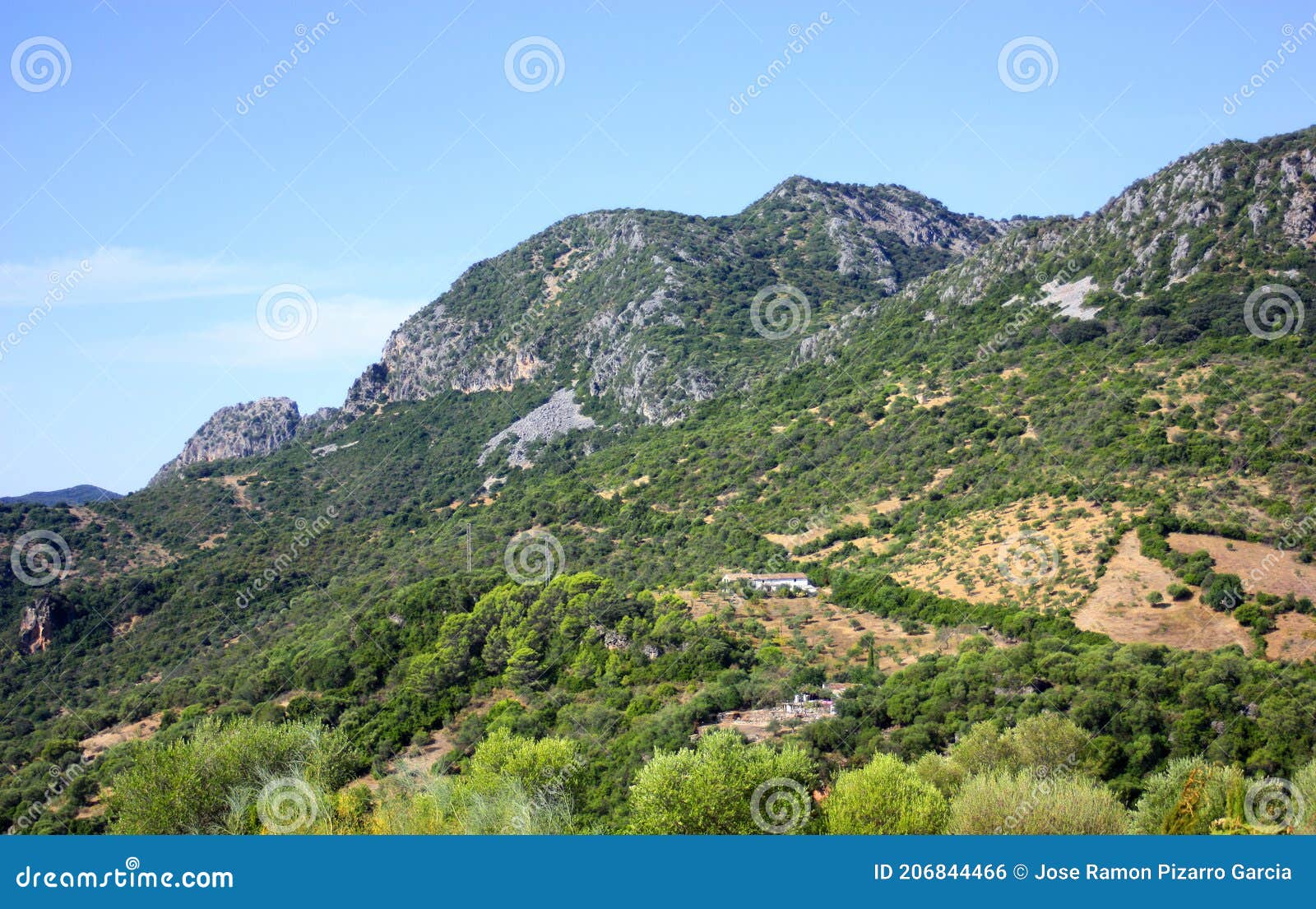 paisaje de la sierra de grazalema, provincia de cÃÂ¡diz andalucÃÂ­a espaÃÂ±a