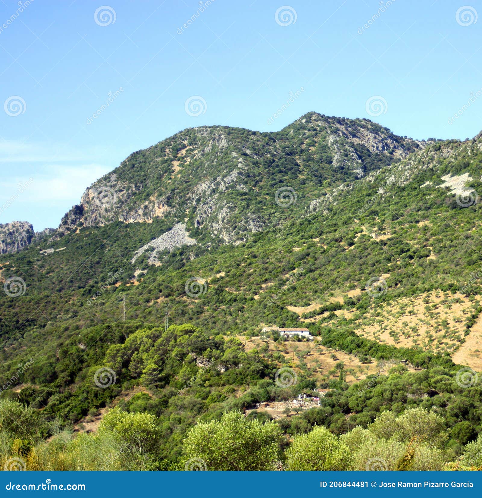 paisaje de la sierra de grazalema, provincia de cÃÂ¡diz andalucÃÂ­a espaÃÂ±a