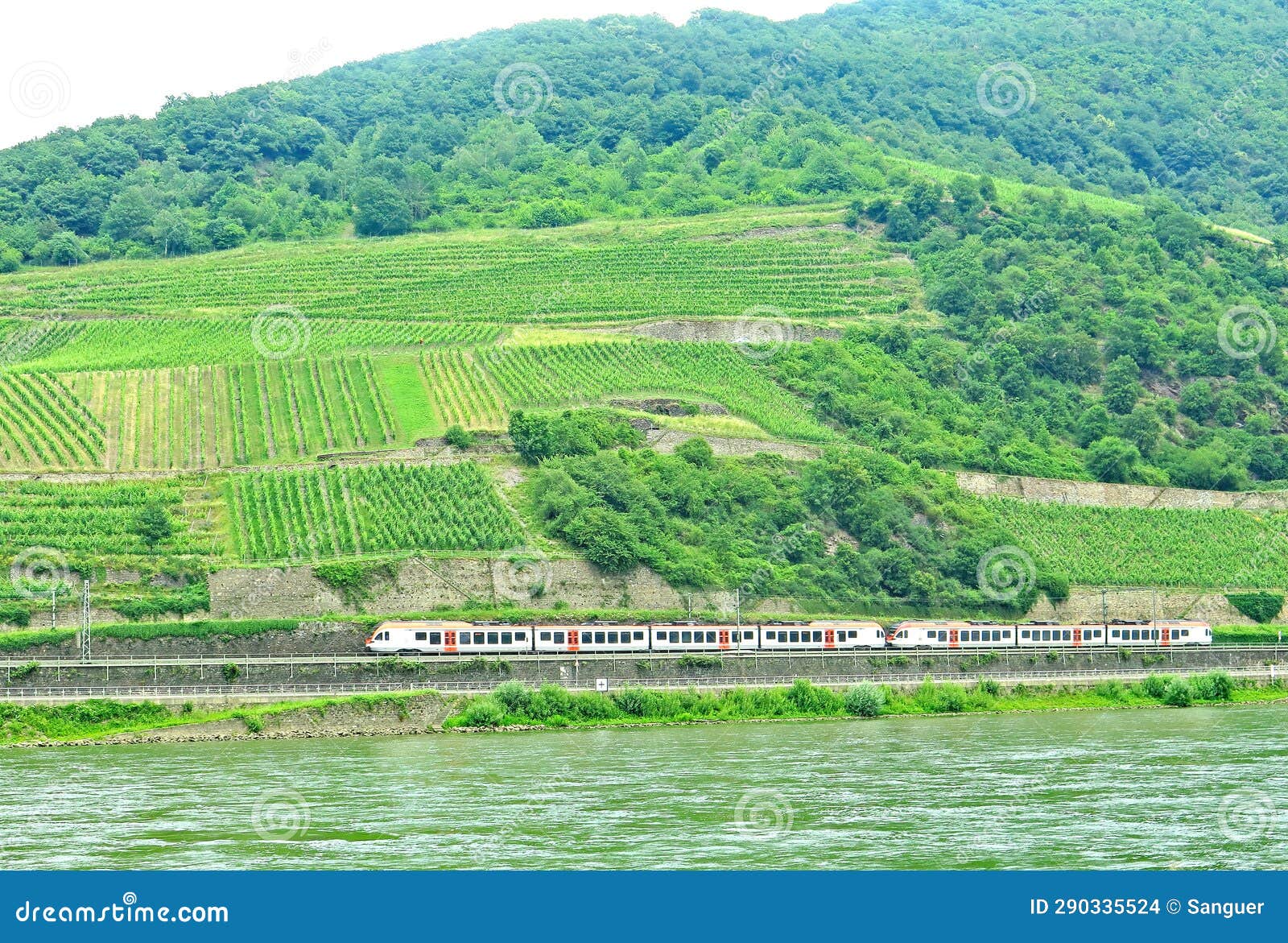 paisaje de las orillas del rÃ­o rin en alemania