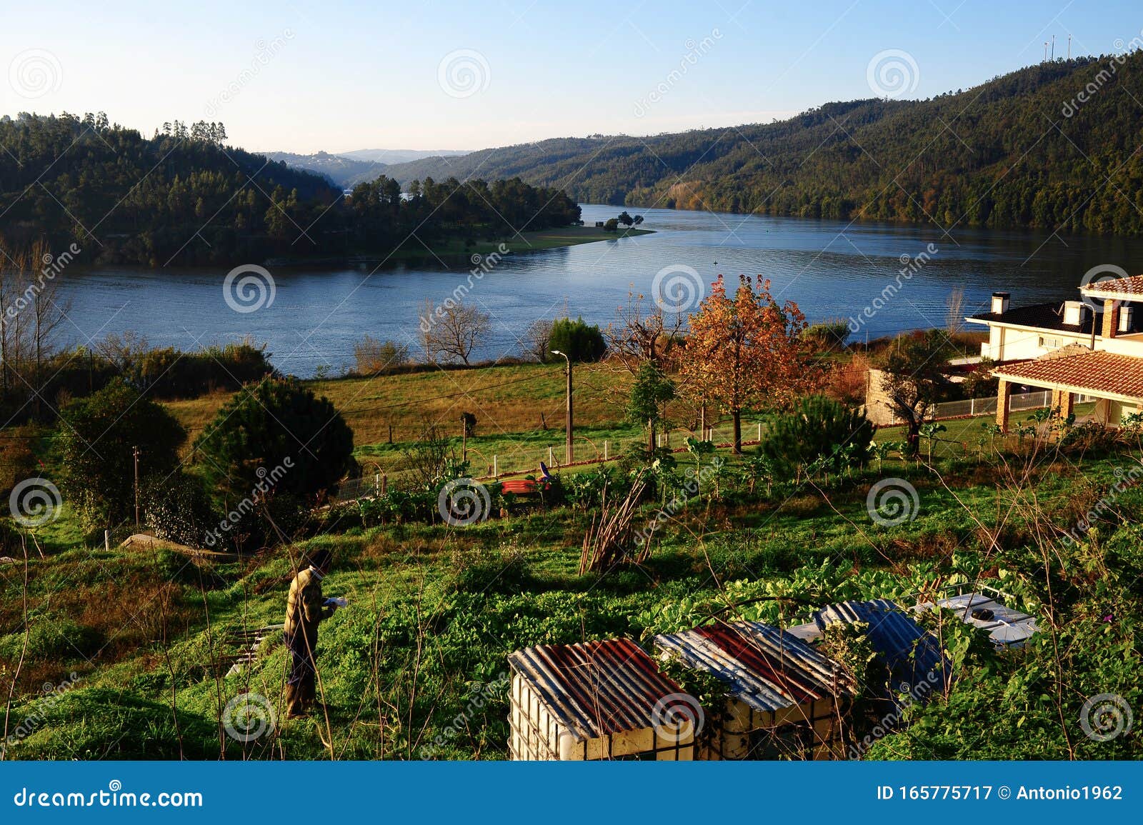 Paisaje del río Douro con montañas y granjas. Región de Porto, valle del río Douro, con entrada agrícola y trabajo agrícola