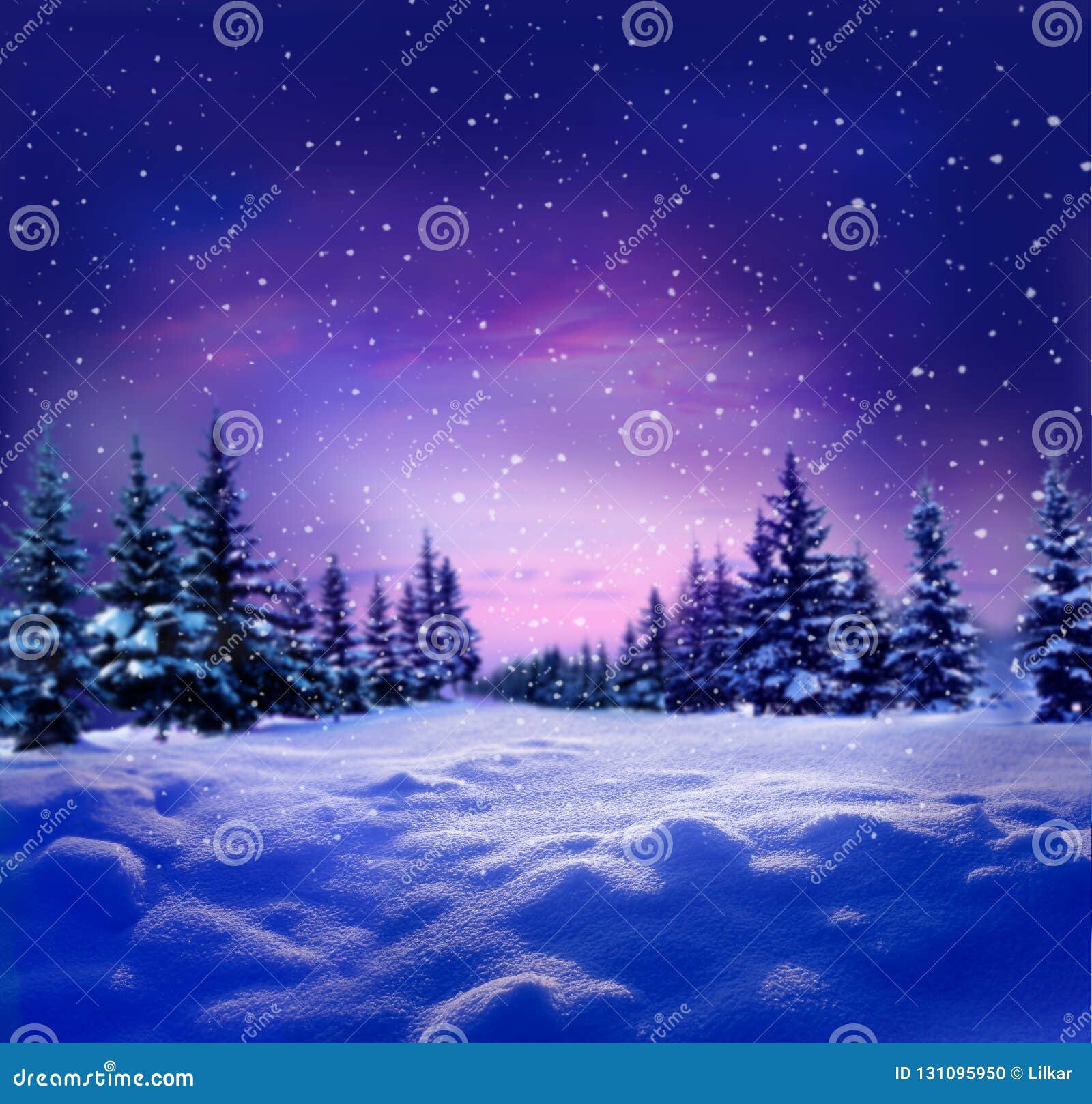 Paisaje Hermoso De La Noche Del Invierno Con Los Arboles Nevados
