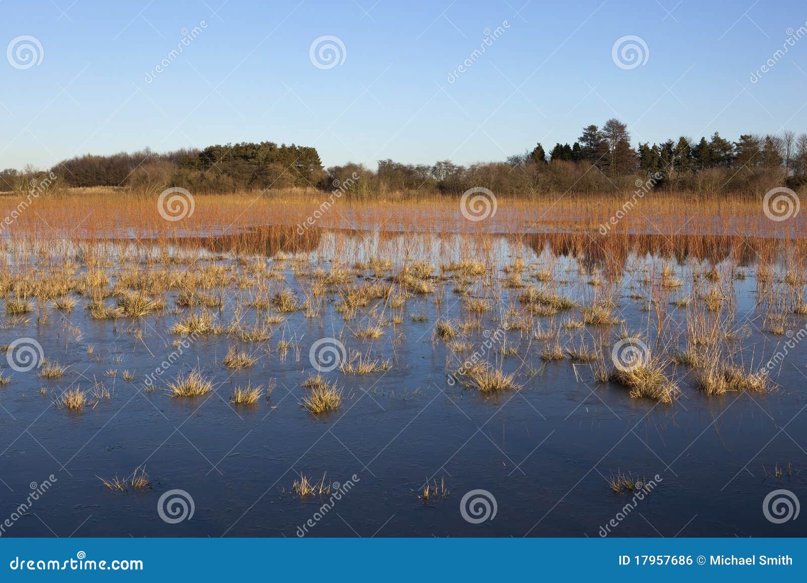 Paisaje inundado foto de archivo. Imagen de combustible 17957686