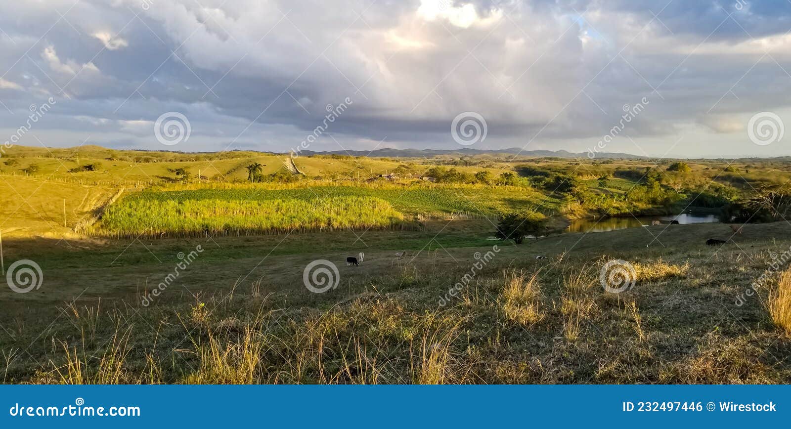 paisajes a lo cubano