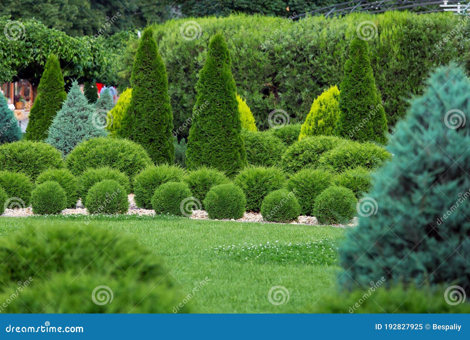 Vintage Green Cerró La Ventana De Madera Y Varias Plantas De Jardín  Decorativas En El Patio Trasero Fotos, retratos, imágenes y fotografía de  archivo libres de derecho. Image 61966696