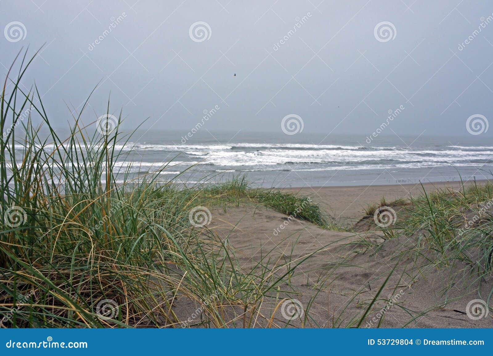 pajaro dunes beach