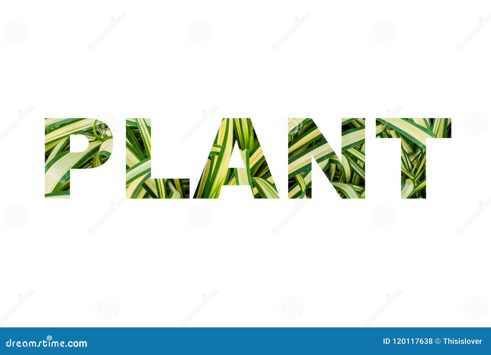 Palabra De La Planta, Texto Stock de ilustración Ilustración de