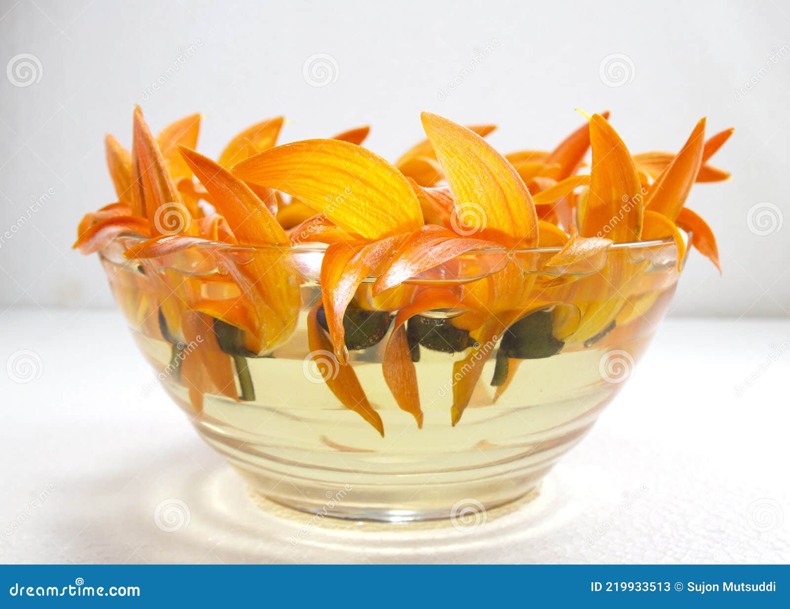 palash flower or butea monosperma floating on bowl of water. plaso monosperma, butea frondosa, erythrina monosperma. blooms at