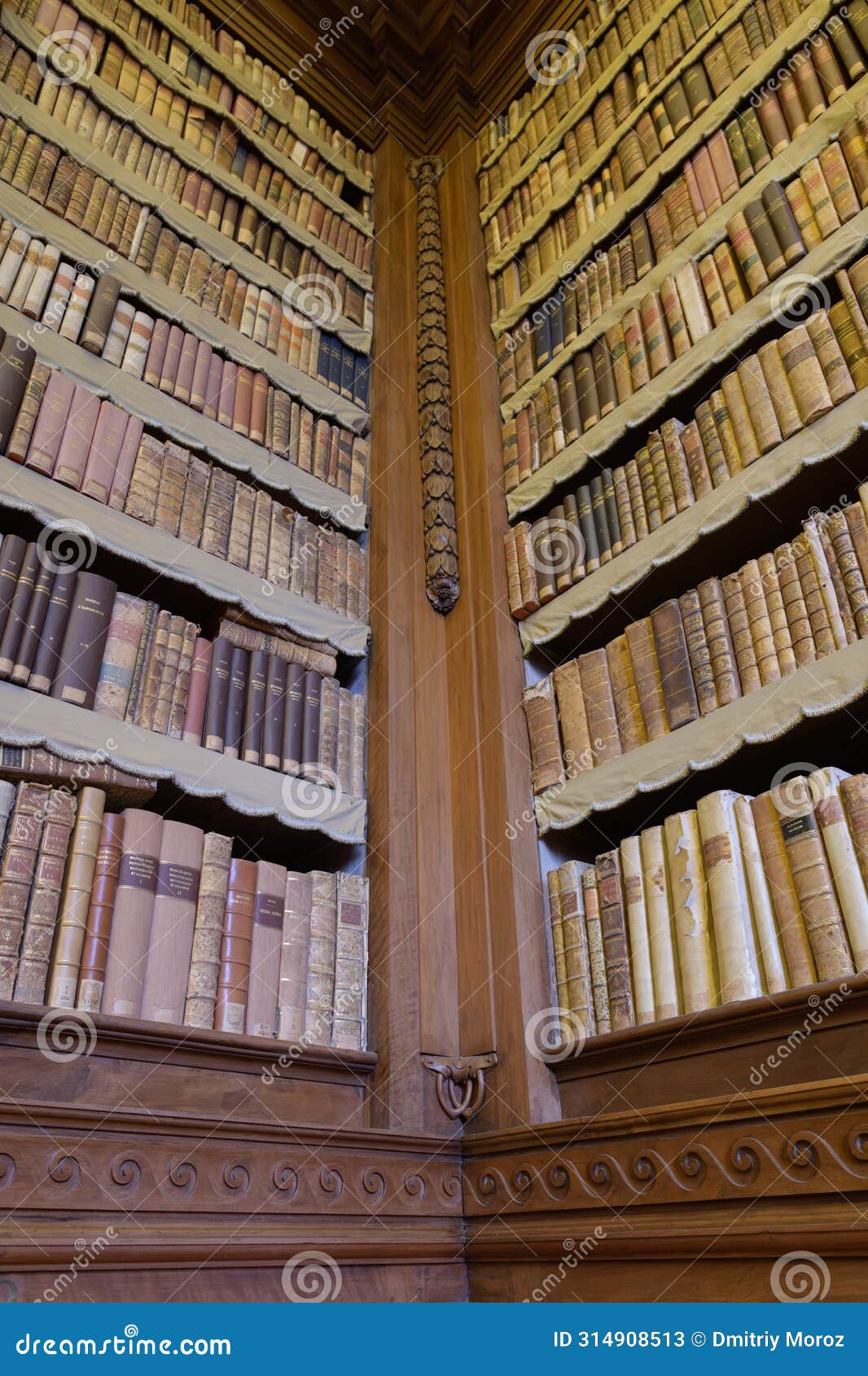 palatina library or biblioteca palatina in parma