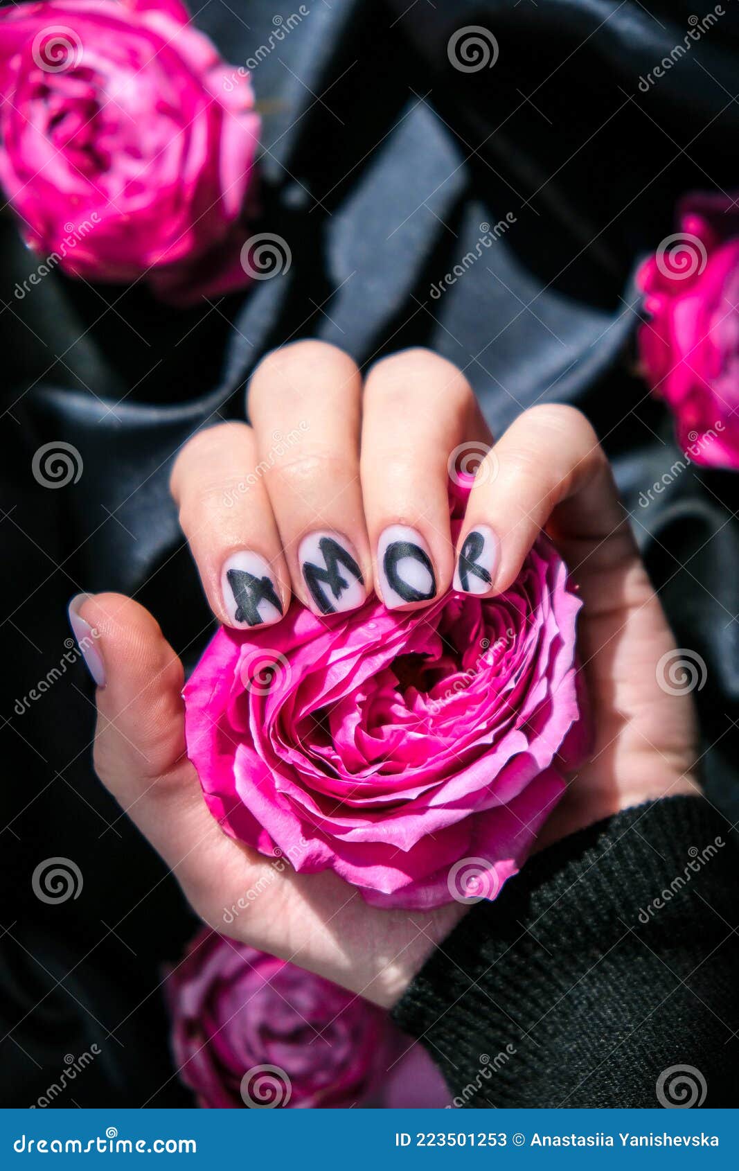 Palavra De Amor Nas Unhas Manicure Segura Rosa Flor Rosa Rosa No Tecido Da  Seda Preta. Natureza De Postura Plana Mínima. Mão Fêmea Imagem de Stock -  Imagem de lustrador, brilhante: 223501253