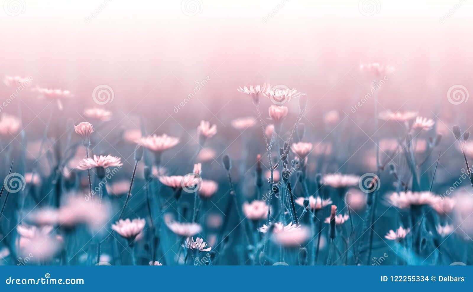 pale pink forest flowers on a background of blue leaves and stems. artistic natural macro image. concept spring summer.