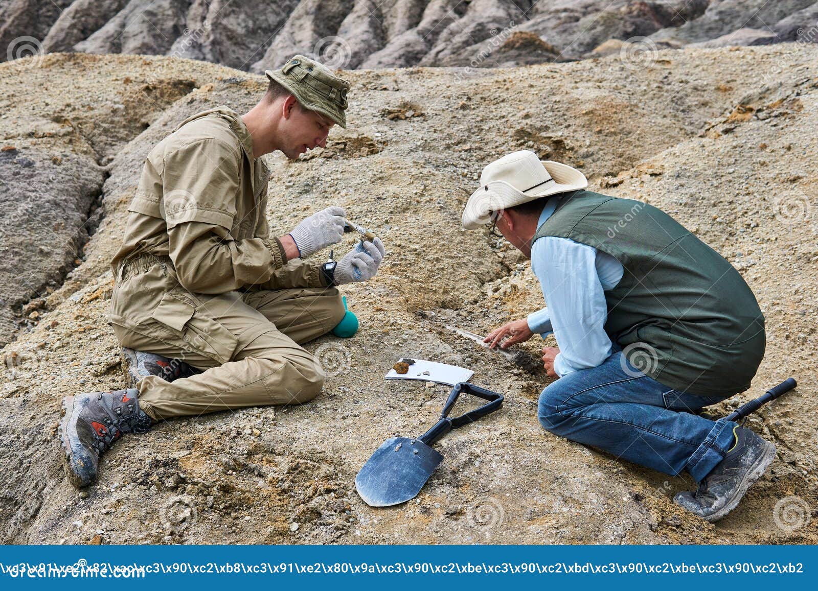 Paleontologists Have Discovered a Fossils in the Desert Stock Photo