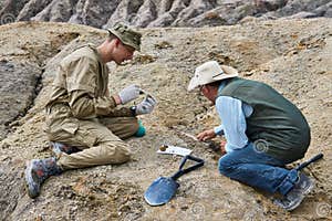 Paleontologists