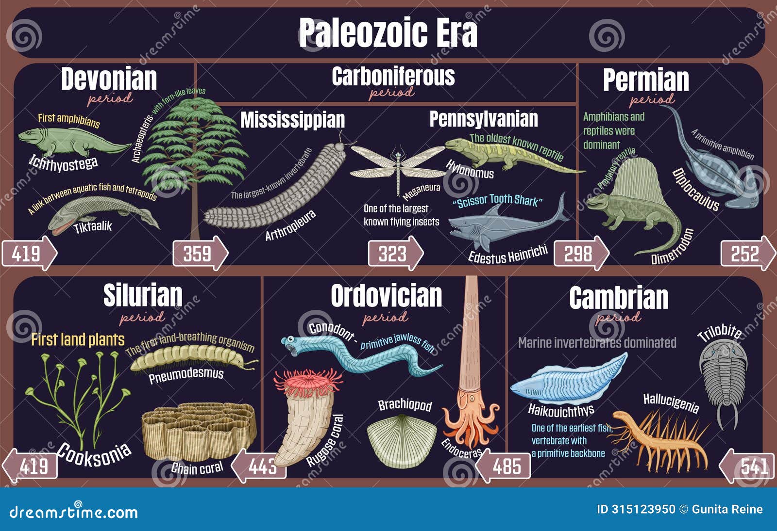 paleozoic era