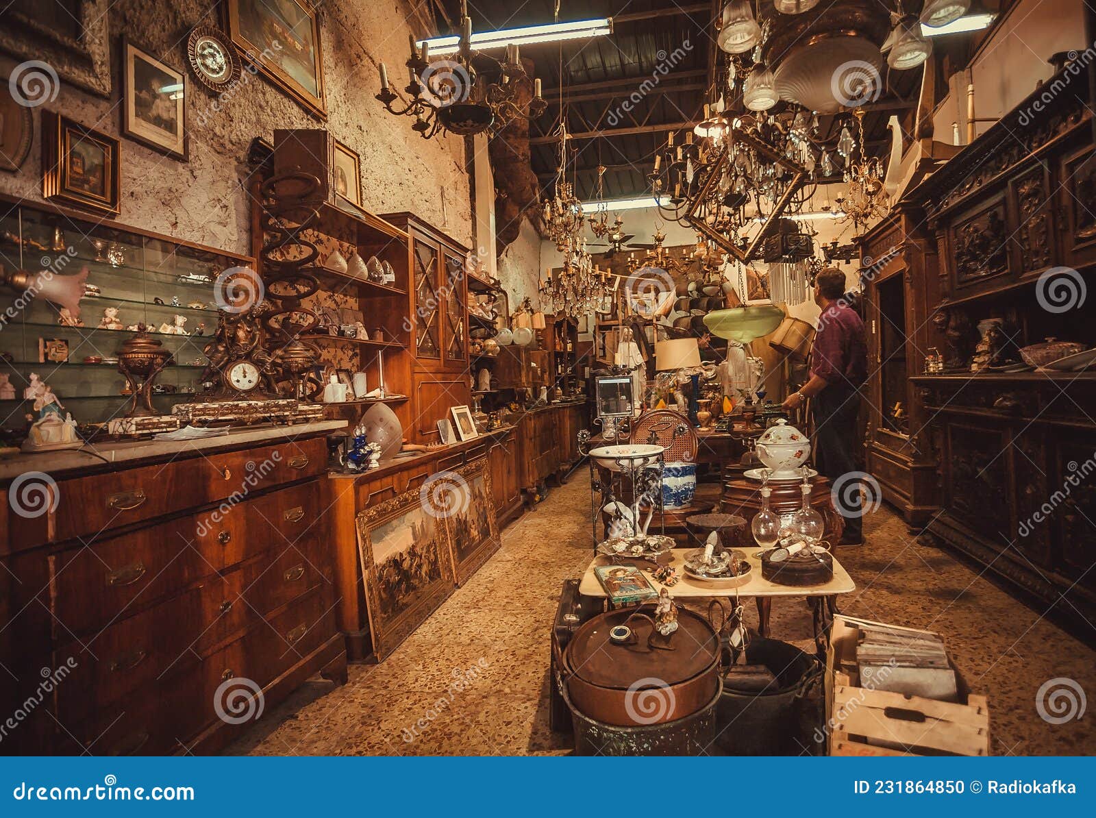 Owner of Antique Store Waiting for Customers of Old Artworks, Jewelry,  Ceramics and Vintage Stuff Editorial Image - Image of aged, craft: 231864850