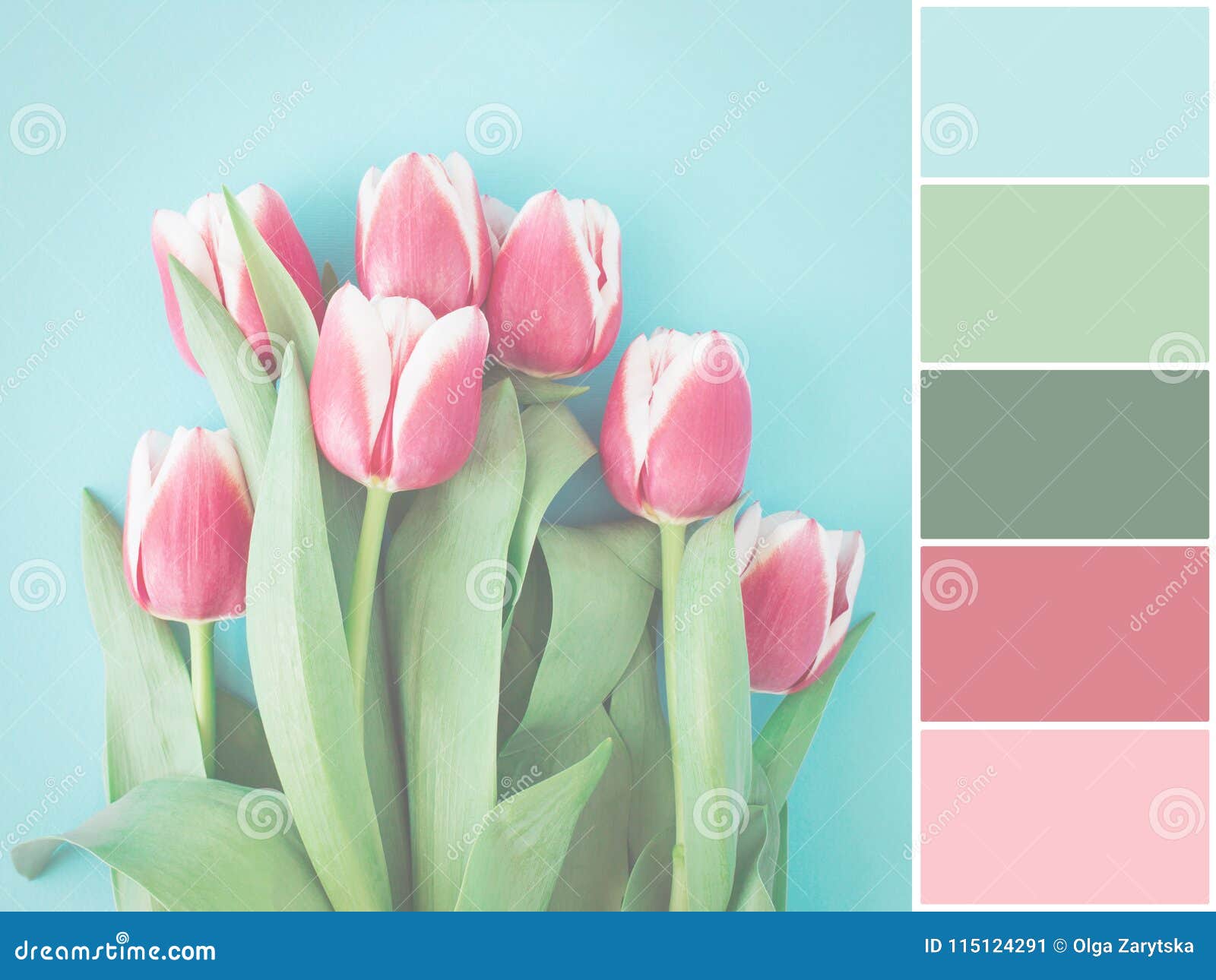 Paleta Del Color En Colores Pastel Stock de ilustración - Ilustración de  marzo, pétalo: 115124291