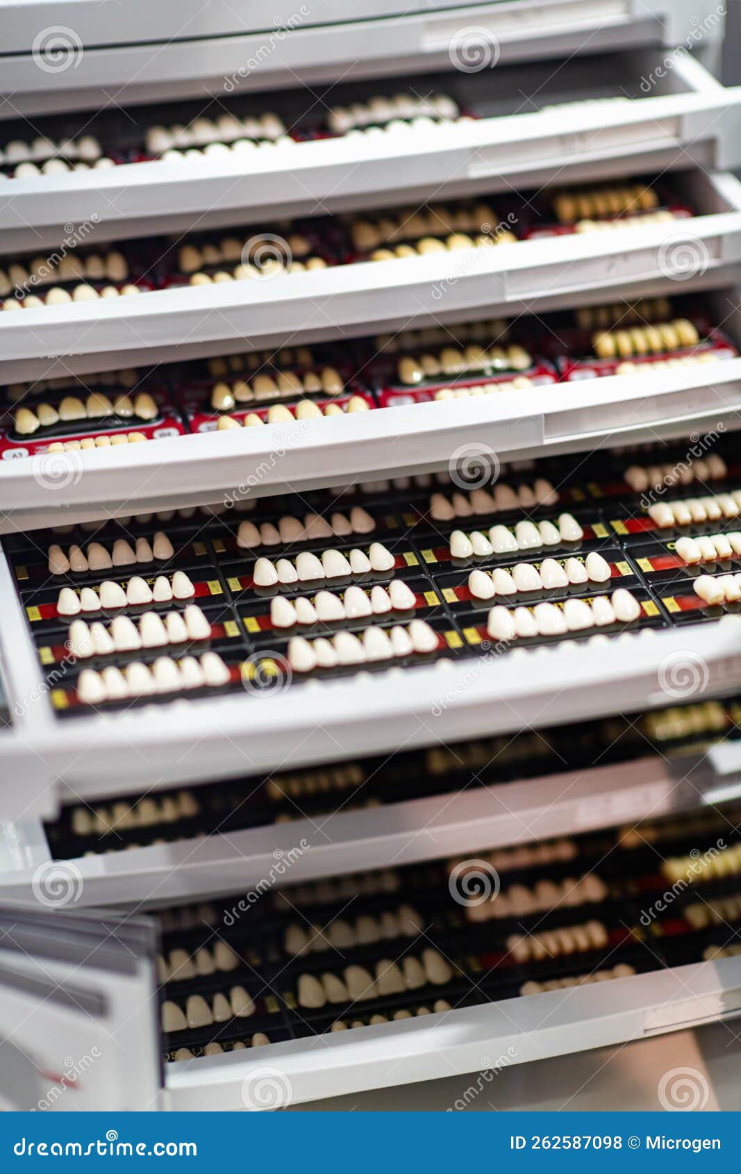 Palette with Natural Tooth Shades Stock Photo Image of scale, tone