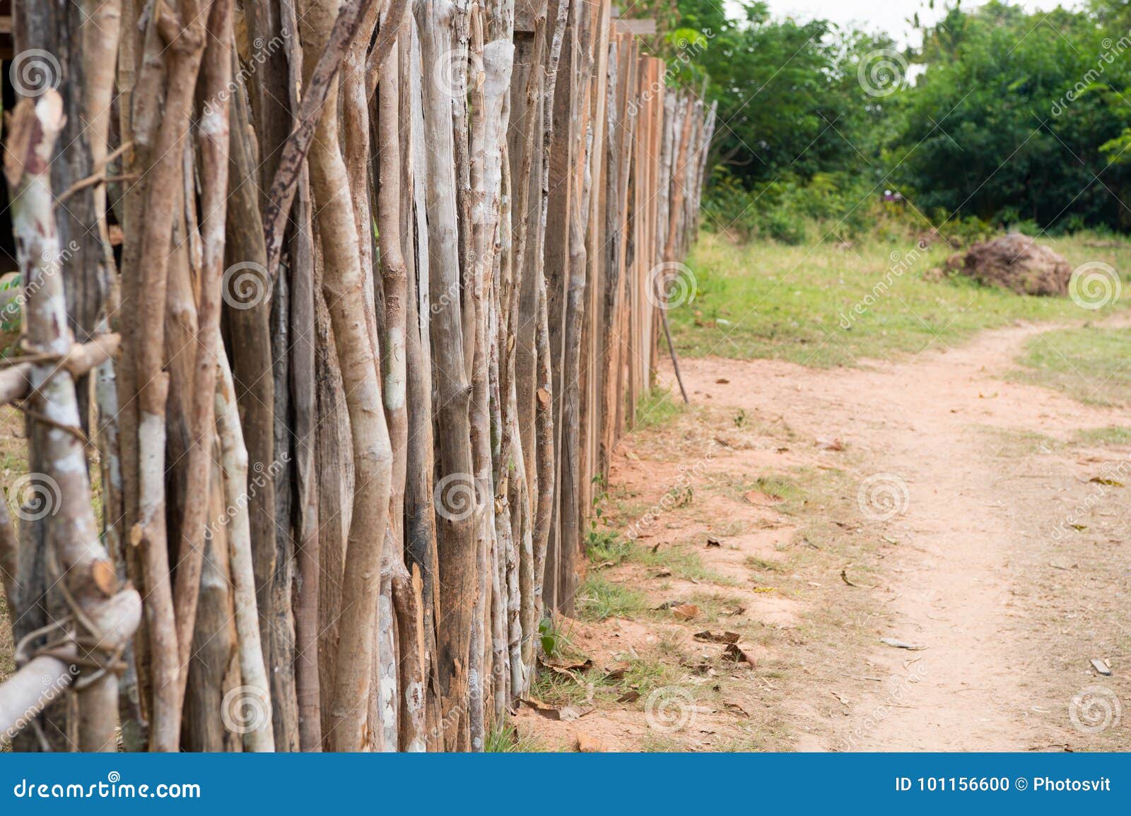 palisade or fence in countryside in boca de valeria, brazil.