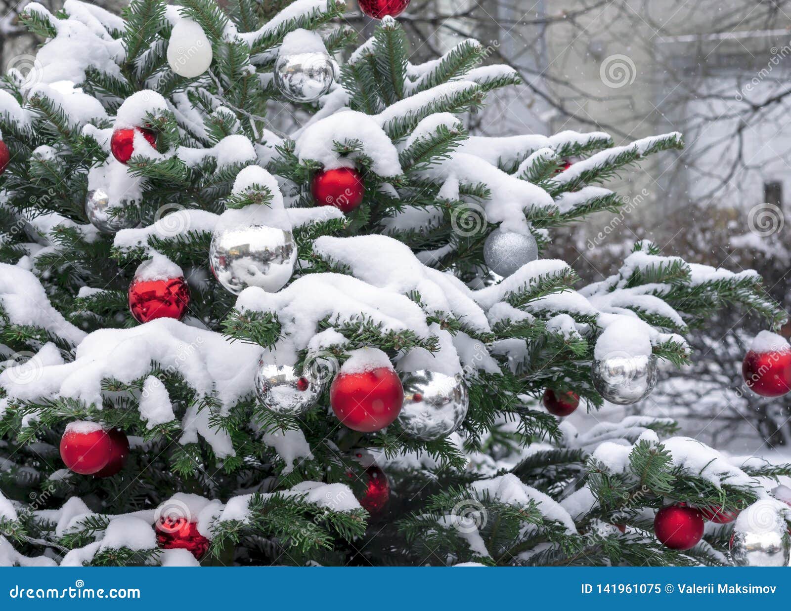 Albero Di Natale Innevato Decorazioni Palle Rosse E Bianche Su Un Albero Di Natale Innevato Decorazioni Nuovo