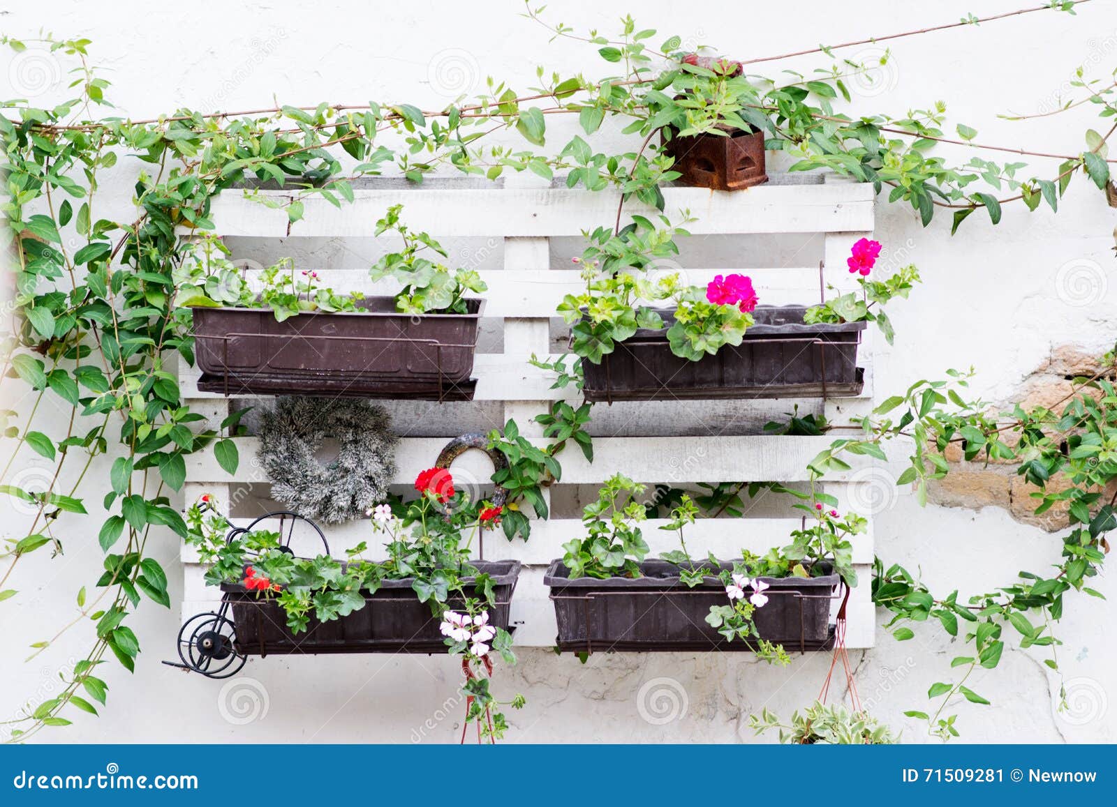 Pallet Ideas For Gardening Stock Image Image Of House 71509281