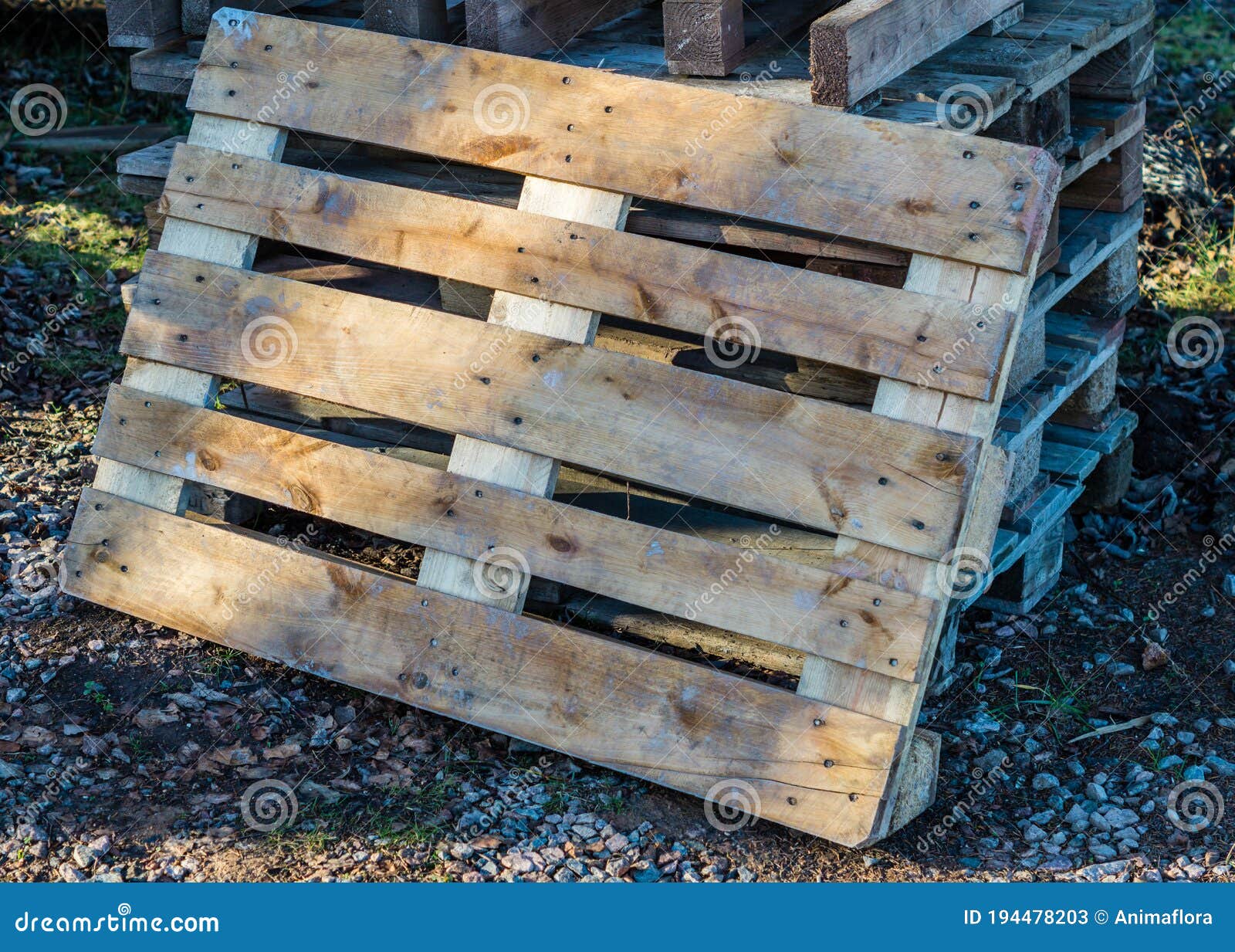 Pallets in the Logistic Cargo Image Stock Image Image of depot