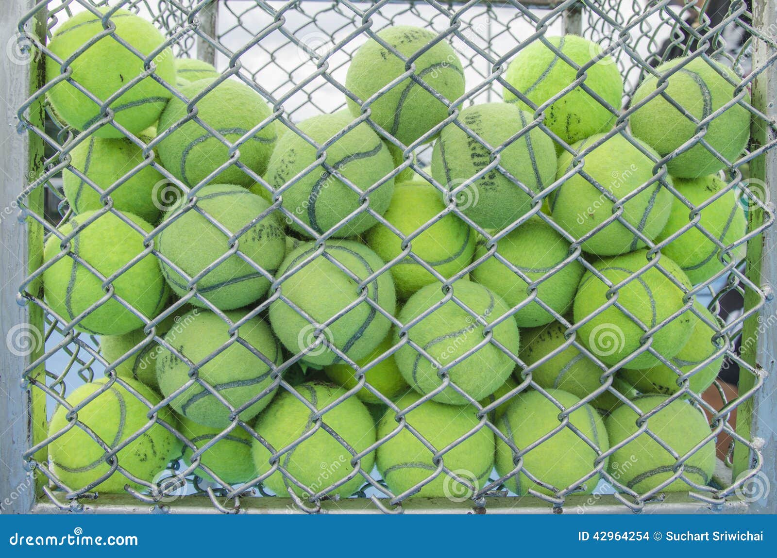 Cestino Raccolta Palline Tennis GAMMA - Capacità 50-140 Palline Colorate - Foto 8