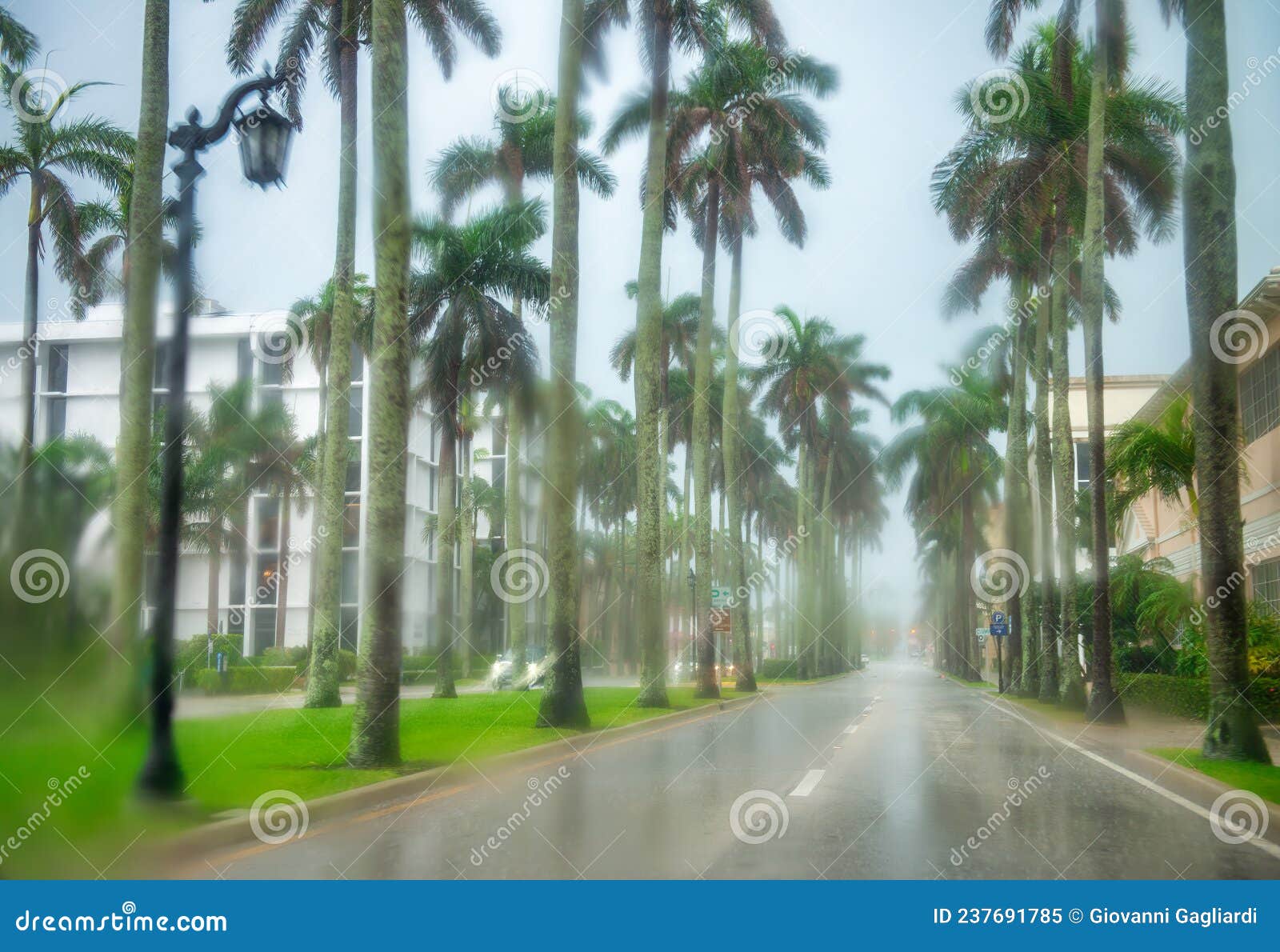 Palm Beach Boulevard on a Rainy Day, Florida Stock Image Image of blue, park 237691785