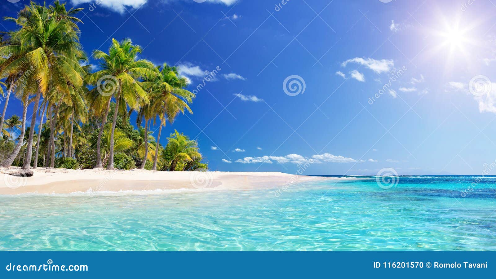 palm beach in tropical paradise