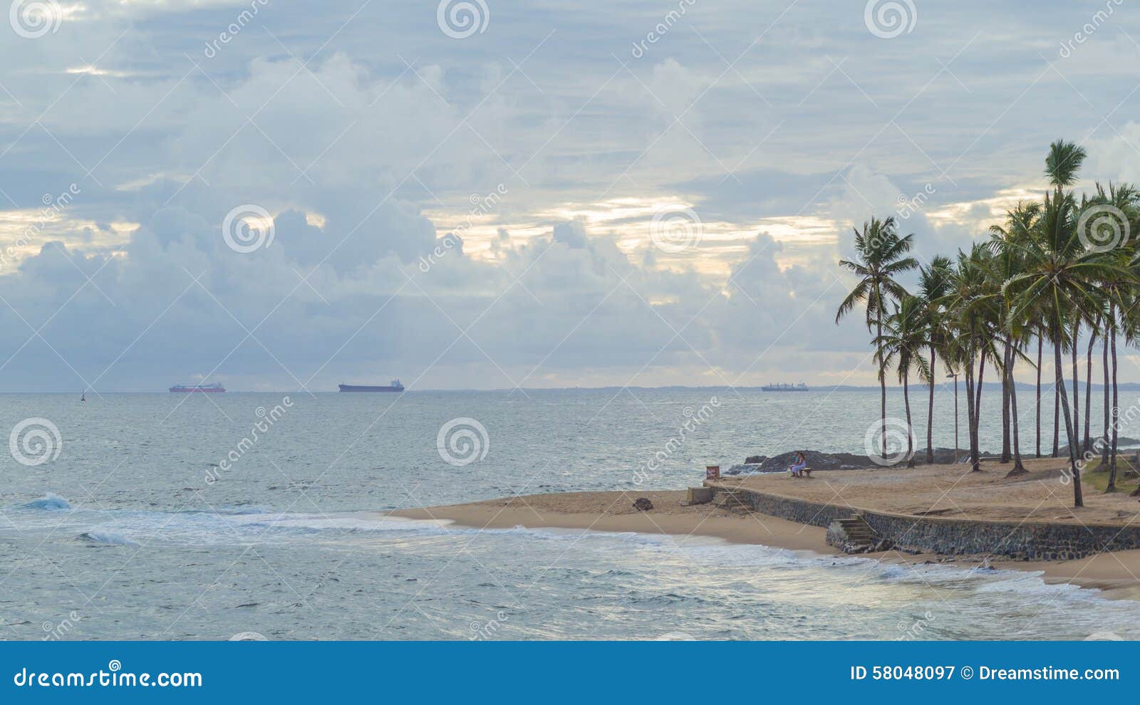 palm and blue sea and blue sky ondina salvador bahia brazil