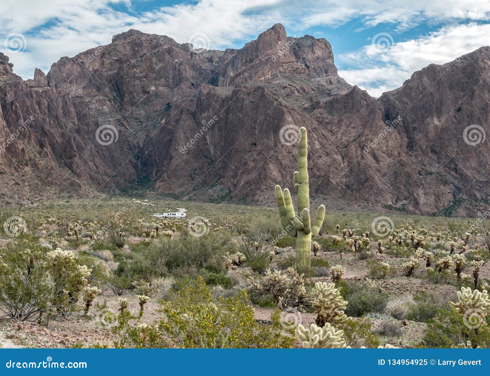 approaching palm canyon, kofa national wildlife refuge