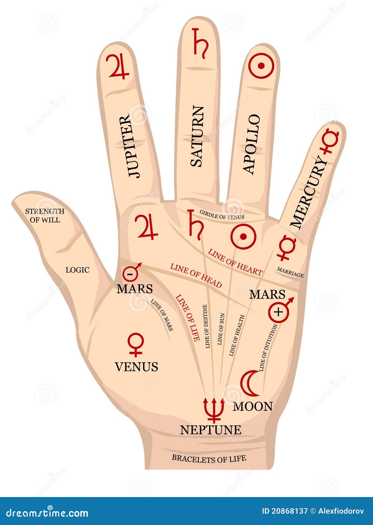 True meaning of Bracelet lines in Your Hand - Wrist lines in Palmistry -  Manibandh line on hand - YouTube