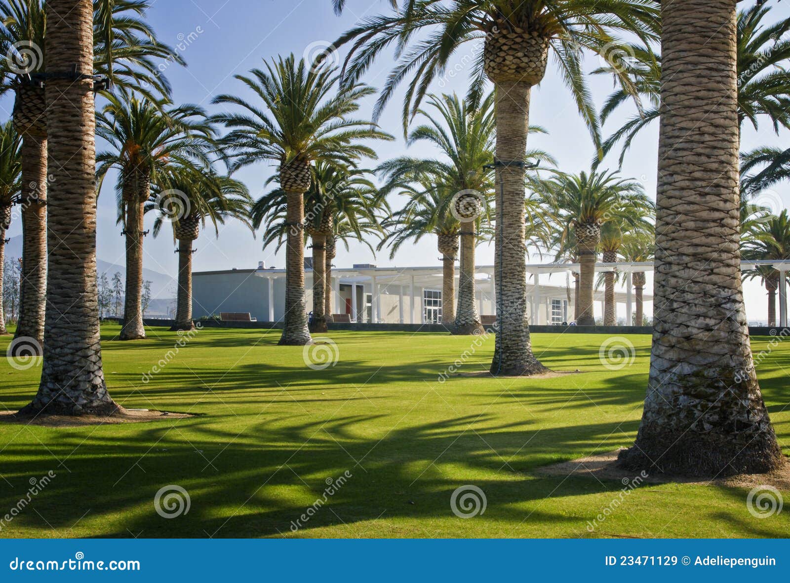 palm court, orange county great park, california