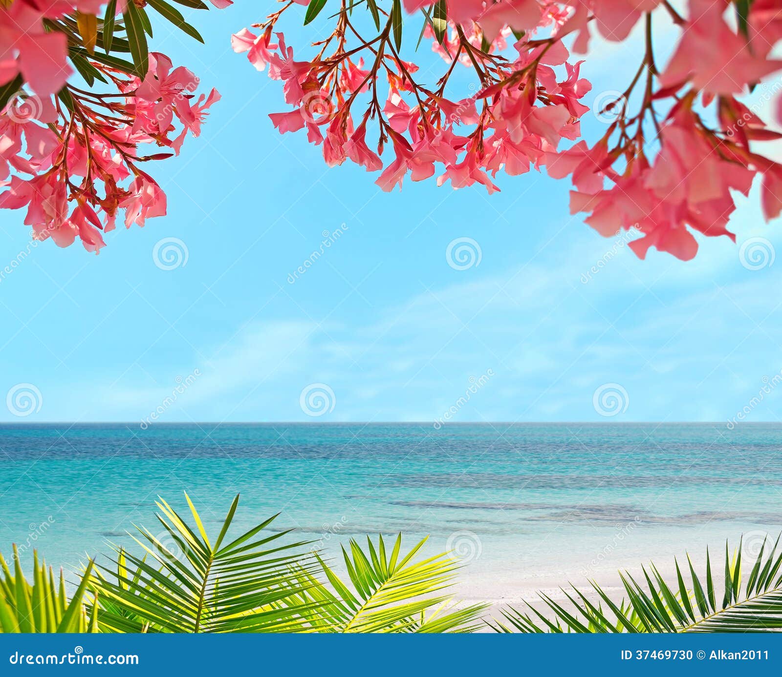 Palm, flowers and sand stock photo. Image of shore, blue 37469730