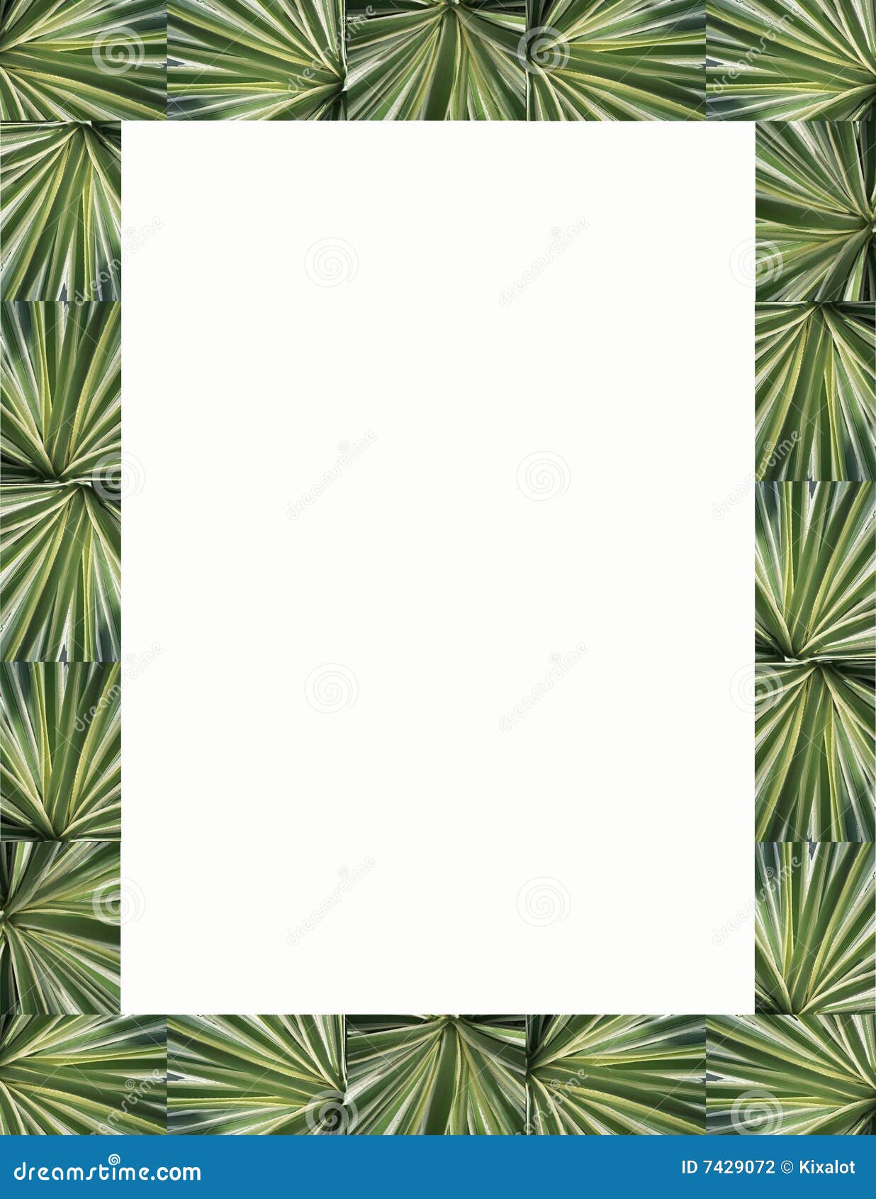 palm fronds frame & border