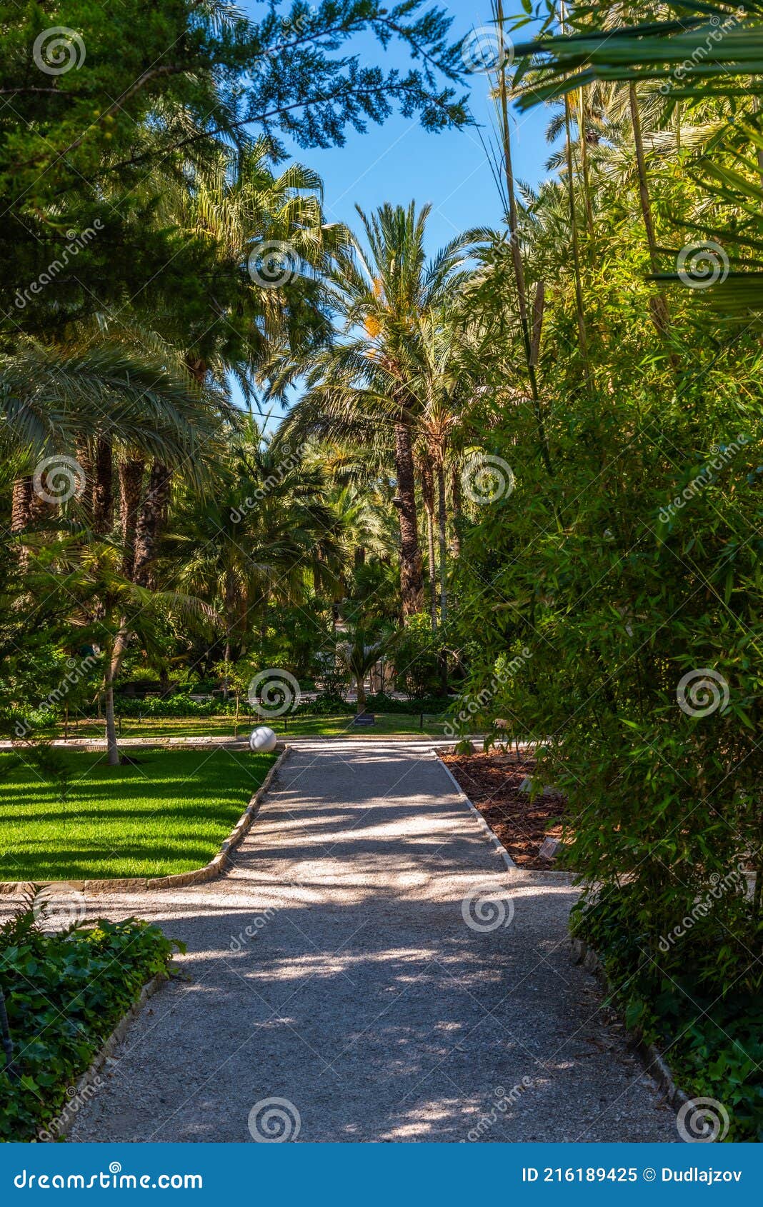 palm groves at huerto del cura garden in elche