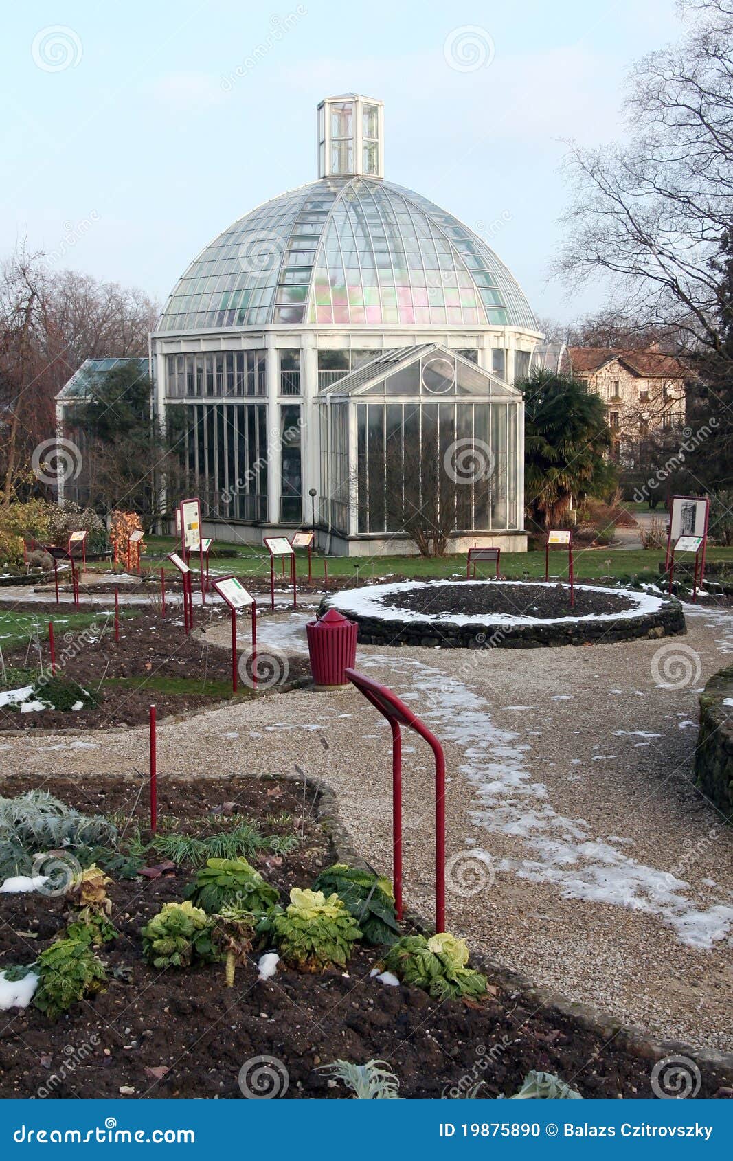 palm house