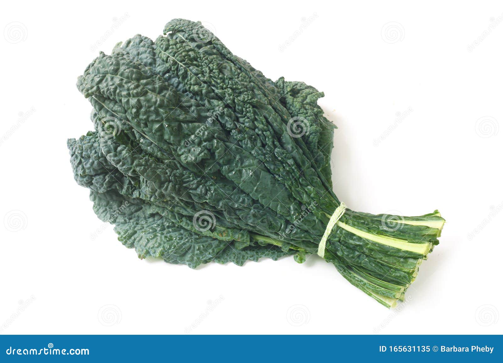 Palm Kale imagen de archivo. Imagen de verde, crudo 165631135